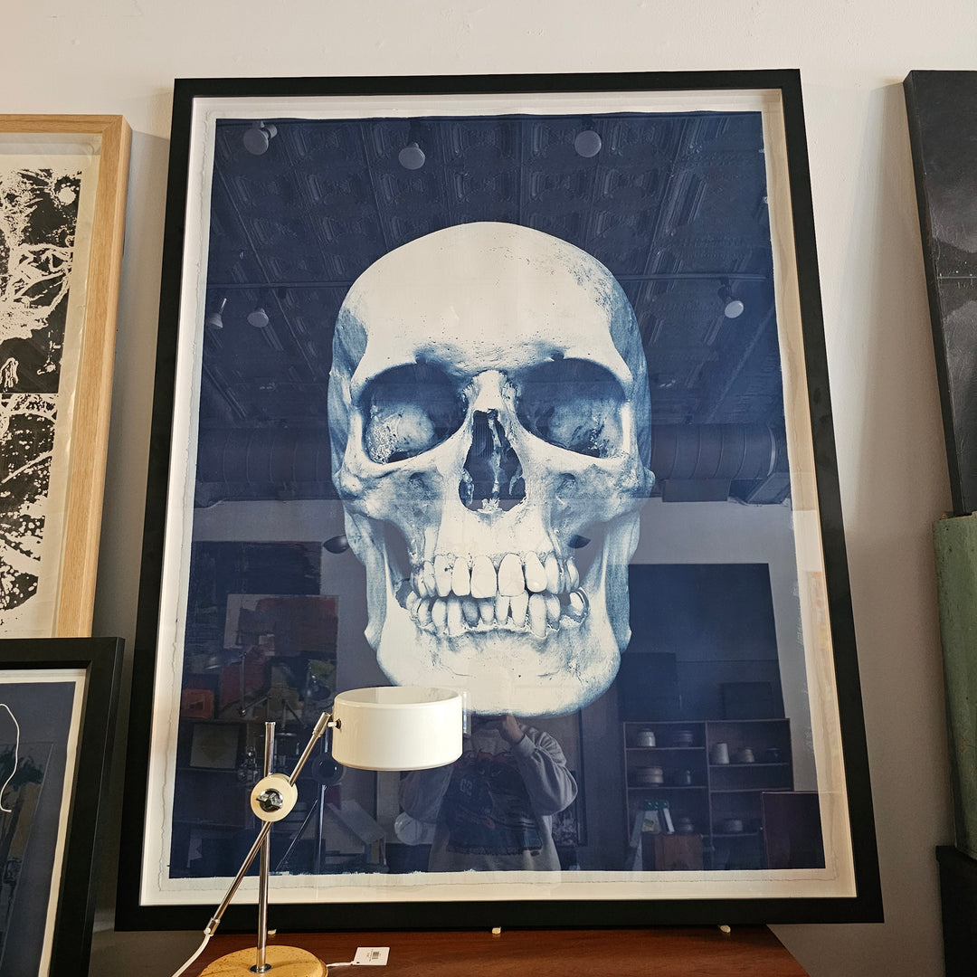 Large Framed Skull Cyanotype by Mariano Chavez